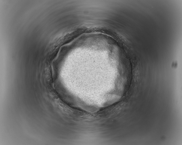 X0000112800917200909111232