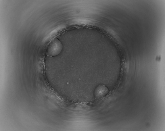 X0000112800918200909111232