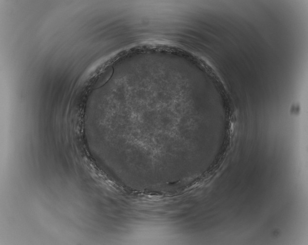 X0000112800919200909111232