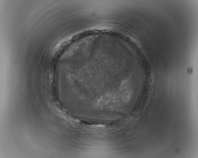 X0000112800920200909111232