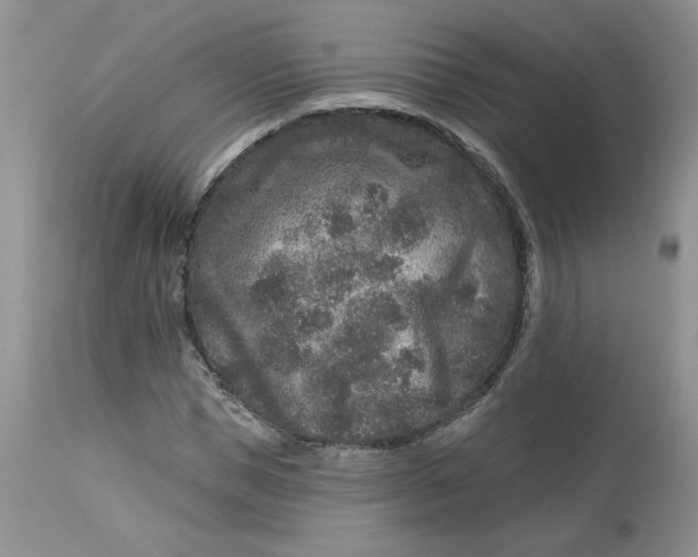 X0000112800921200909111232