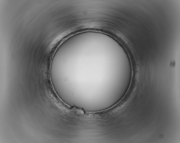 X0000112800922200909111232