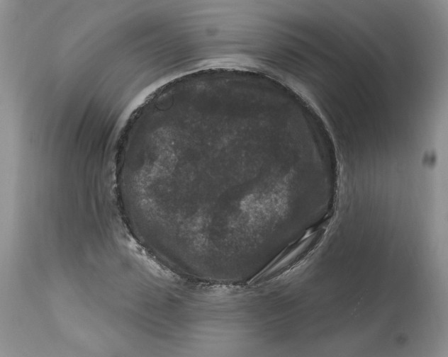 X0000112800923200909111232