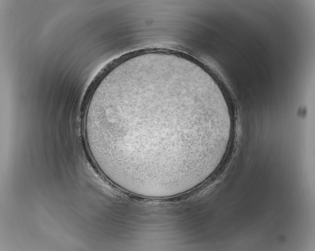 X0000112800924200909111232