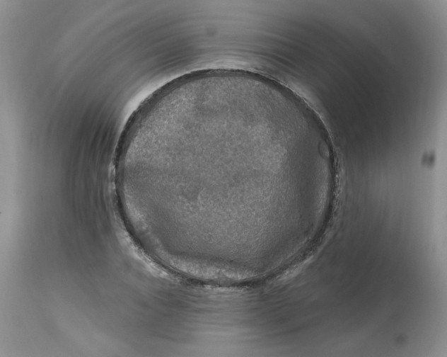 X0000112800928200909111232