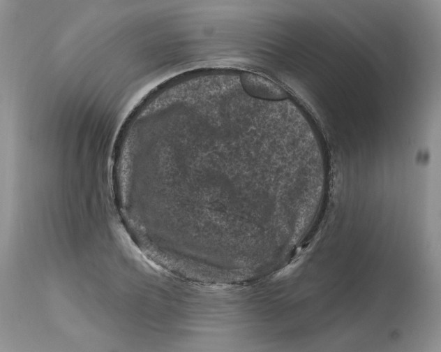 X0000112800932200909111232