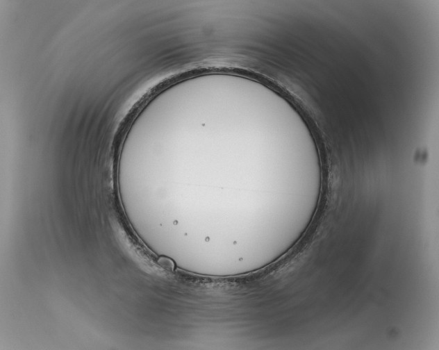 X0000112800934200909111232