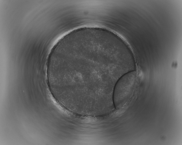 X0000112800935200909111232