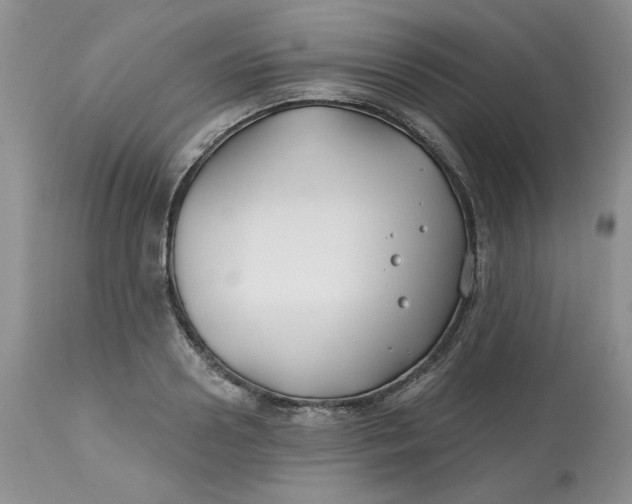 X0000112800938200909111232