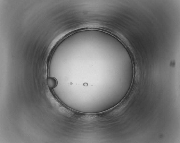 X0000112800939200909111232