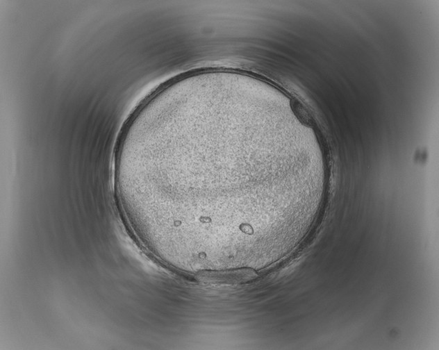 X0000112800940200909111232