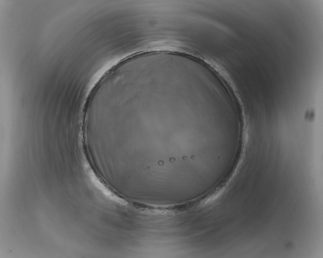 X0000112800941200909111232