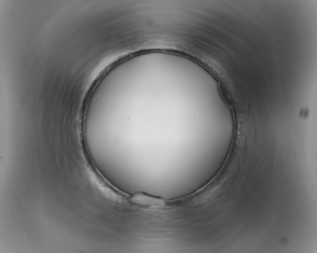 X0000112800942200909111232