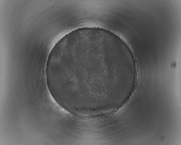 X0000112800943200909111232