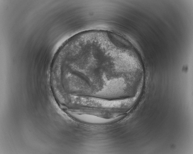 X0000112800944200909111232