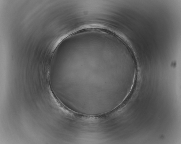 X0000112800945200909111232