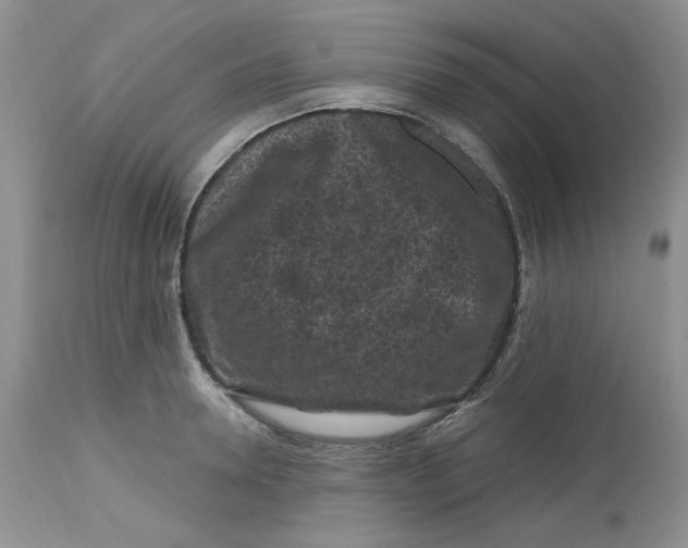 X0000112800946200909111232