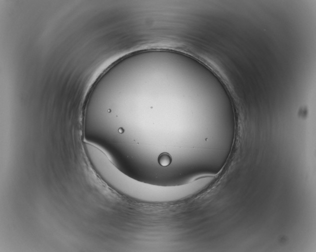 X0000112800948200909111232