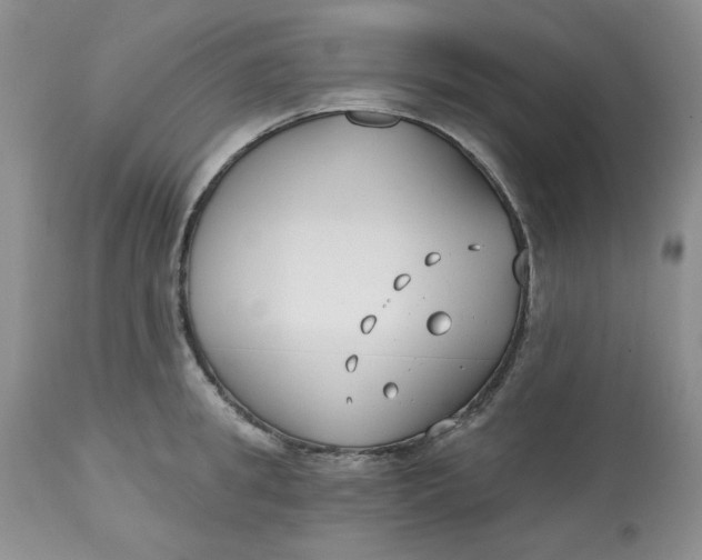 X0000112800949200909111232