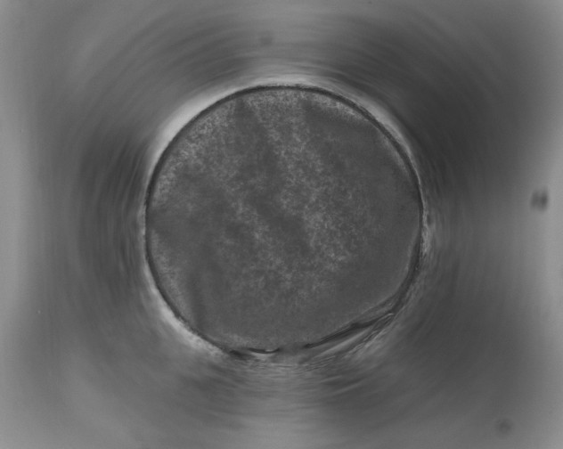 X0000112800951200909111232