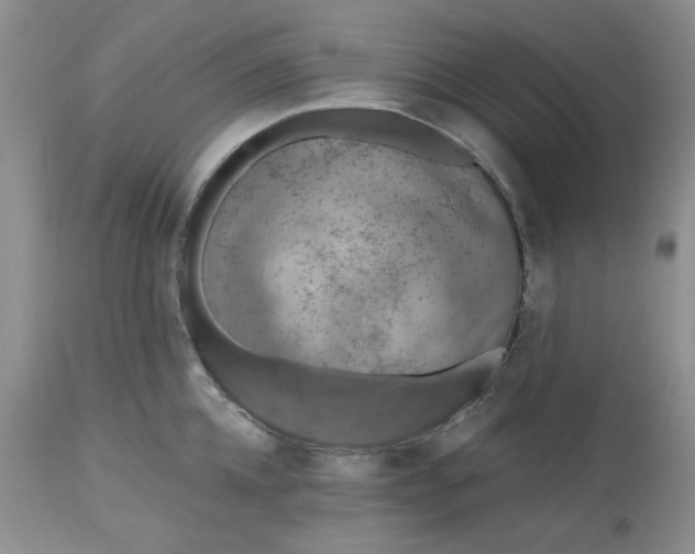 X0000112800952200909111232