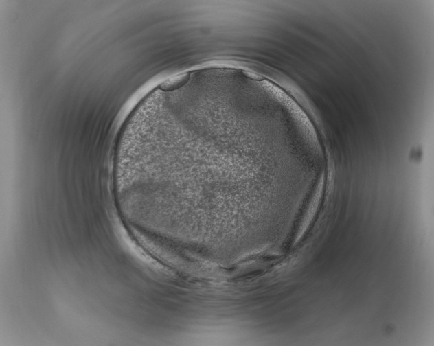 X0000112800955200909111232