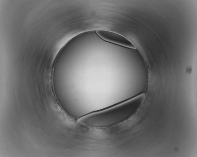 X0000112800956200909111232