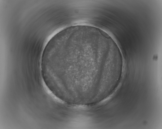 X0000112800957200909111232