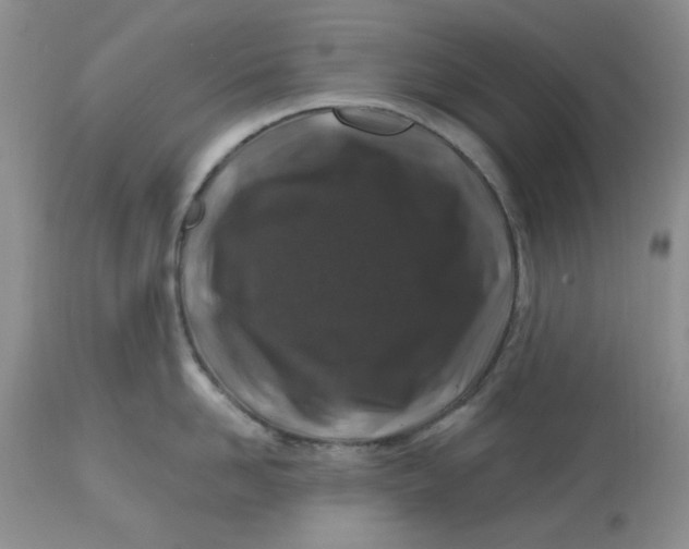 X0000112800958200909111232