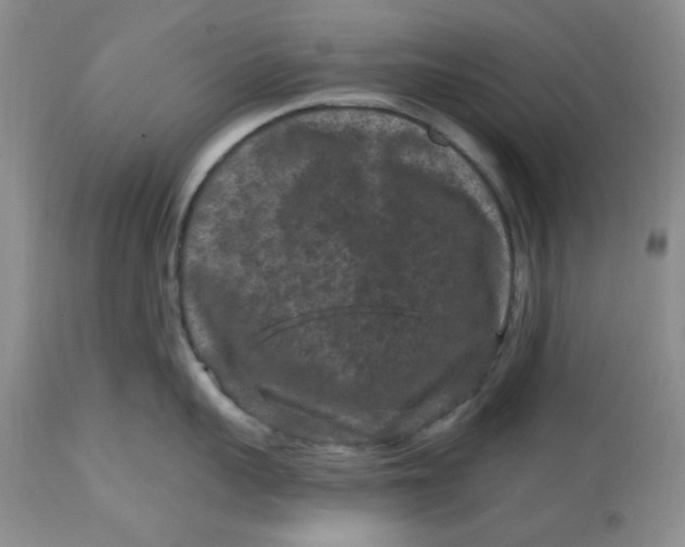 X0000112800959200909111232