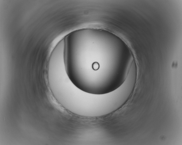 X0000112800960200909111233