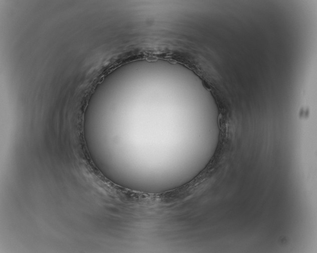 X0000112800961200909111232