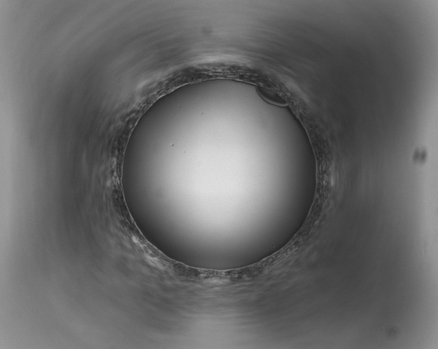 X0000112800965200909111232