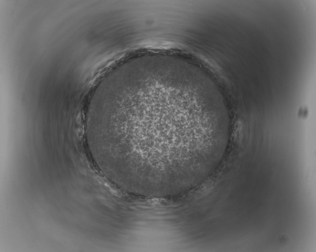 X0000112800966200909111232