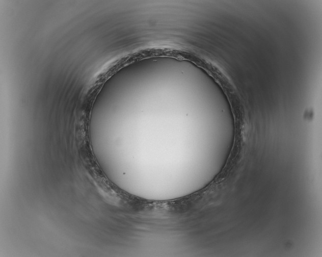 X0000112800968200909111232