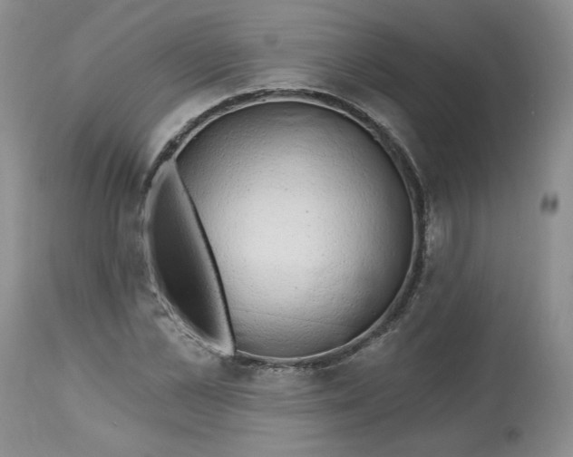 X0000112800973200909111232