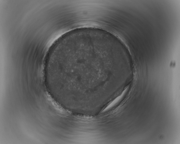 X0000112800975200909111232