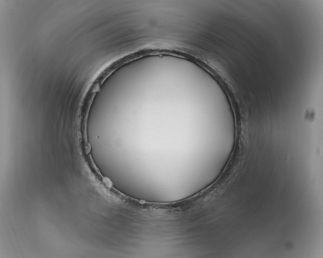 X0000112800976200909111232