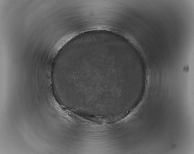 X0000112800977200909111232