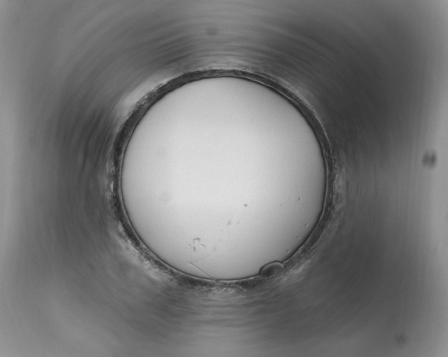 X0000112800979200909111232