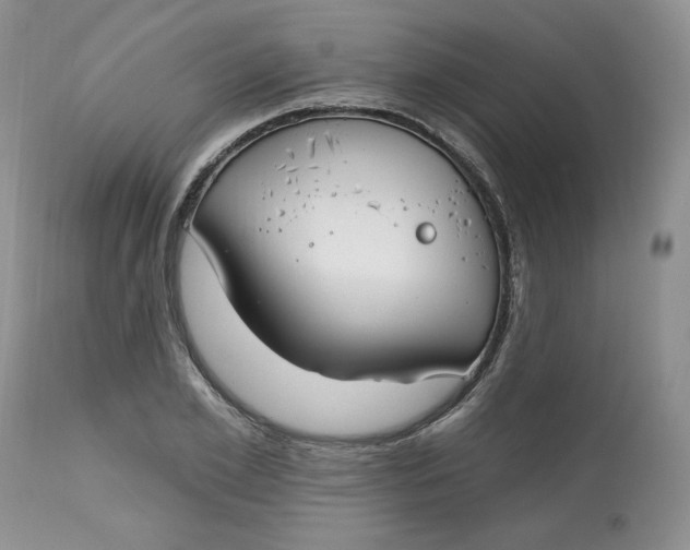 X0000112800981200909111232