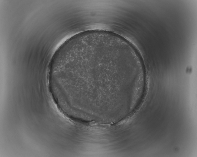 X0000112800983200909111232