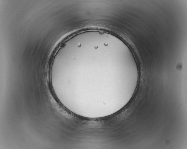 X0000112800984200909111232