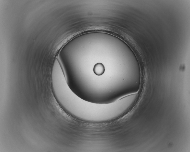 X0000112800985200909111232