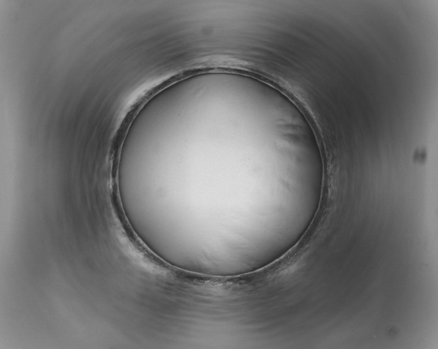 X0000112800987200909111231