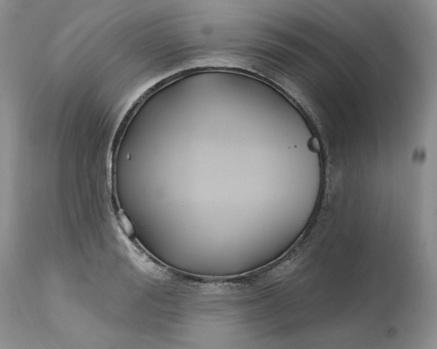 X0000112800988200909111231