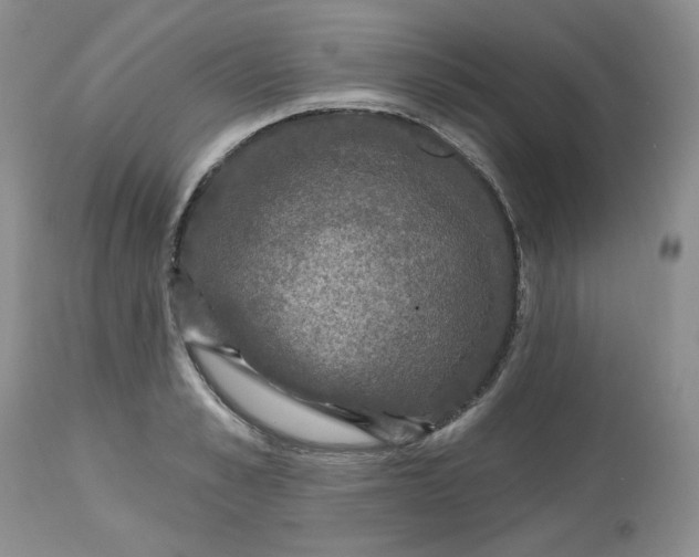 X0000112800989200909111231