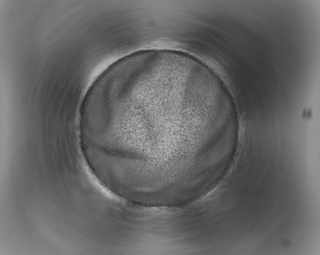 X0000112800990200909111231