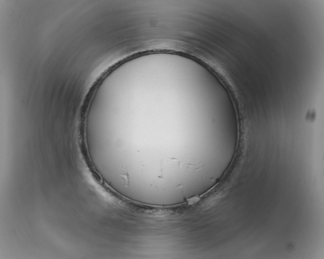 X0000112800991200909111231