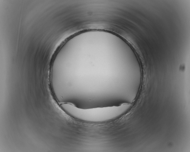 X0000112800992200909111231